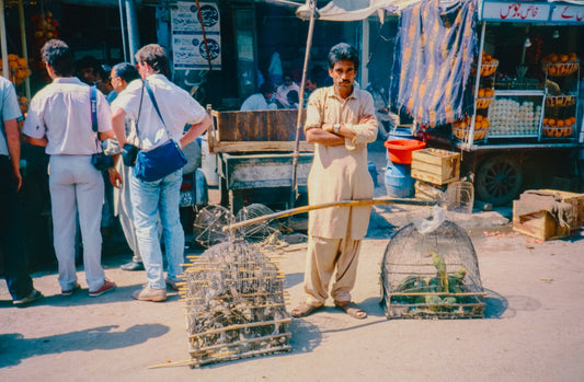 Birds for sale at an outdoor market.