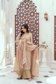 Ziya